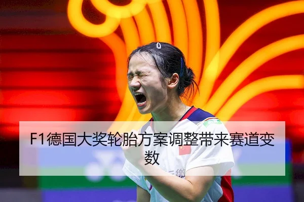 F1德国大奖轮胎方案调整带来赛道变数（NG28）